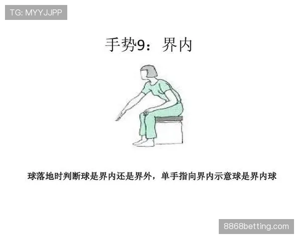 深度解读篮球比赛中球出界判定规则的核心要点